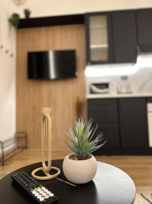 Апартаменти La Casa Di Marlu - Gorgeous Flat In Catania Centre Екстер'єр фото